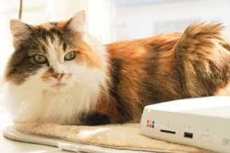 スマホの保存容量を節約！ バッファロー「おもいでばこ」アプリでクリップ機能を使う