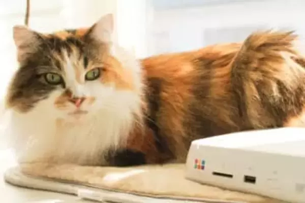 スマホの保存容量を節約！ バッファロー「おもいでばこ」アプリでクリップ機能を使う