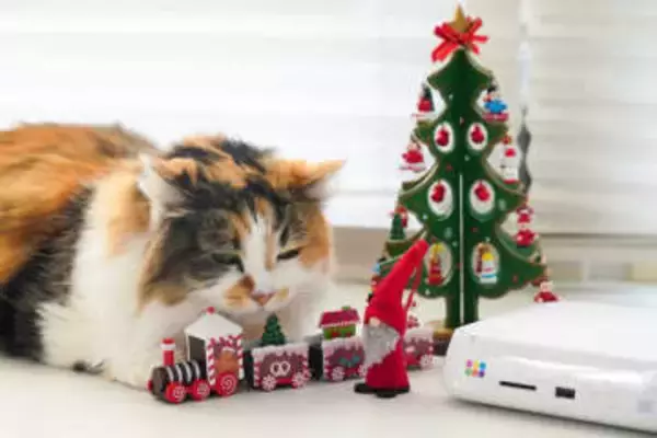 友人への共有やコンビニプリントもできる！ バッファロー「おもいでばこ」に保存した写真をUSBメモリに直接書き出す