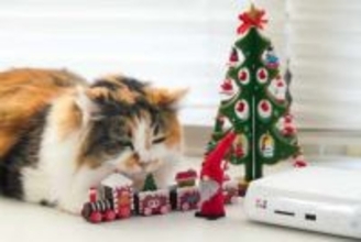 友人への共有やコンビニプリントもできる！ バッファロー「おもいでばこ」に保存した写真をUSBメモリに直接書き出す