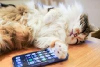 簡単操作でバックアップ！ iPhoneの写真をWindows「フォト」アプリで取り込む