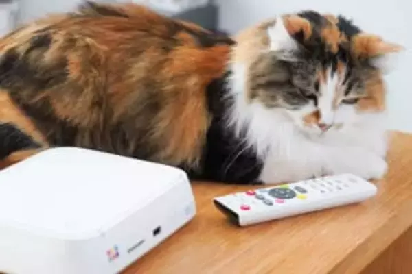 Wi-Fi経由で簡単にプリント、バッファロー「おもいでばこ」から直接写真を印刷する