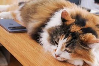 Androidスマホの写真をMacにWi-Fi接続でバックアップする