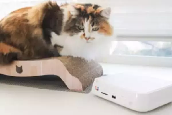 家族やペットの写真を大画面で楽しむ！ バッファロー「おもいでばこ」にSDカードやHDDから直接転送する