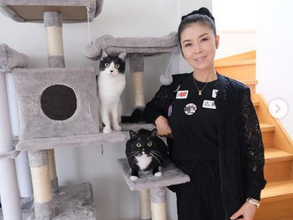 藤あや子、愛猫の生き方から学ぶ 「生きるってもっとシンプルでいいんだな」