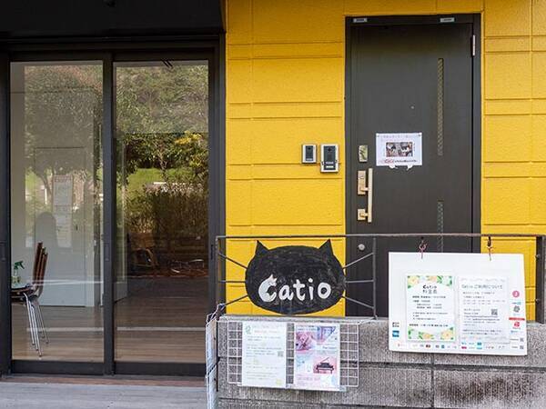 仲よし猫ちゃんたちと出会える 奥渋 の保護猫カフェ Catio に潜入 22年4月5日 エキサイトニュース