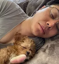 井上裕介のニュース 芸能総合 1036件 エキサイトニュース 4 30