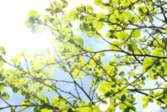 全国各地で季節外れの真夏日　石原良純さん「僕らも生活習慣を変えなければ」...地球の温暖化現象に危機意識