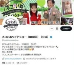 紺野美沙子、愛犬・小春ちゃんを回想　毎日「行ってきます」「ただいま」と声をかけて
