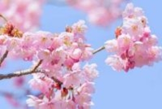 会社の送別会、参加したくない理由　3位「業務時間外の拘束と感じる」、2位「プライベートを優先」、1位は？