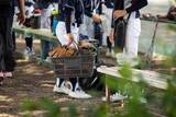 「「熱中症の危険は？」少年野球のベンチ撤去勧告に疑問も続々　特例などは認めないのか、札幌市に聞いた」の画像1