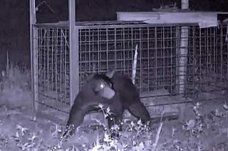「おり」にかかっても山へ戻す、狩猟解禁しても冬だけになりそう　「クマは守るべき」の仕組みは限界寸前に