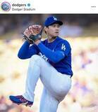 「大谷翔平の愛犬デコピン、イチゴのったバースデーケーキをモグモグと...3歳の誕生日　「いつ見ても可愛い」」の画像1