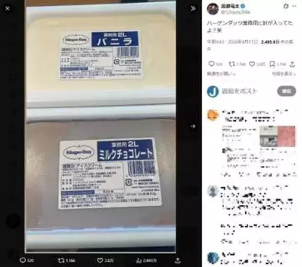 「ハーゲンダッツ業務用に針が」YouTuber投稿にX騒然　メーカー「可能性は考えにくい」が...「詳細調査」準備中