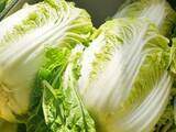 「中国で「発がん物質漬け」白菜が発覚　日本への影響は？「ミヤネ屋」が心配」の画像1