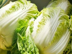 中国で「発がん物質漬け」白菜が発覚　日本への影響は？「ミヤネ屋」が心配