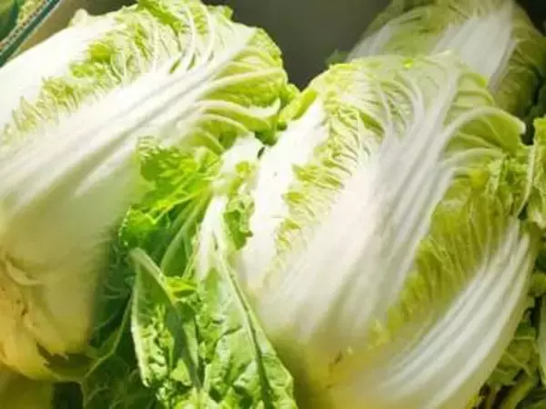 中国で「発がん物質漬け」白菜が発覚　日本への影響は？「ミヤネ屋」が心配