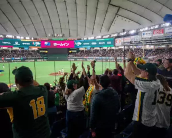 府中でキャンプWBC・豪チームのメッセージに野球ファン感動　「素晴らしい試合でした」