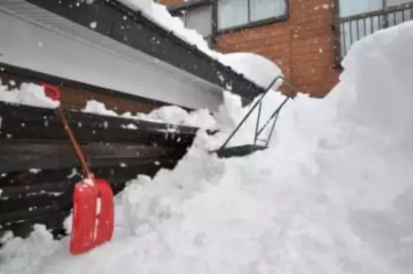 衆院選投票日は寒波ピークの予報　雪害で亡くなる人が続出「そんなに！って思って」長嶋一茂は沈痛