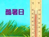 「今年初の「酷暑日」、40度超えたのはどこ？　ミヤネ屋、「速報です！」と伝える」の画像1