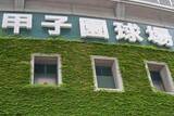 「首位を走る阪神に水を差す...泥酔暴行疑惑の伊原陵人、無期限ファームか　1軍で投げる信頼を取り戻せるか」の画像1