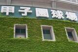 「投打に故障者続出の阪神...近本光司は長期離脱へ　投手陣は安定感を欠く厳しさでリーグ連覇「黄信号」なのか」の画像1