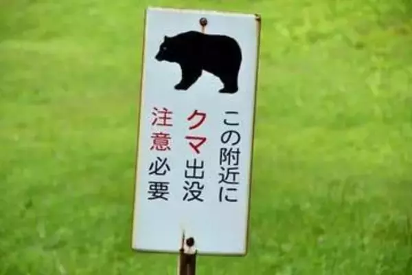岩手県では4000頭のクマが目覚めている、一部は人里に依存 「news zero」で専門家が注意促す