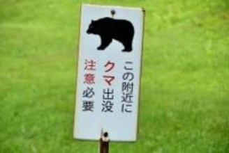 岩手県では4000頭のクマが目覚めている、一部は人里に依存 「news zero」で専門家が注意促す