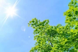 5月で異例の暑さを記録、元市長「行動を変えていかないと身が守れないという状況」