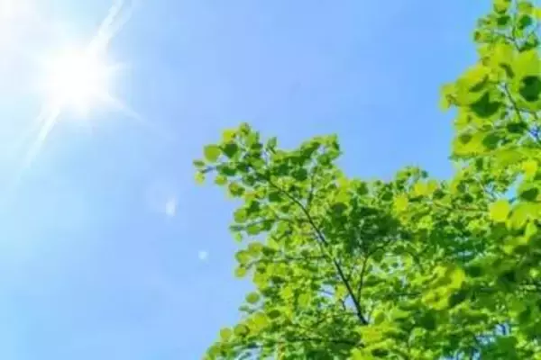 5月で異例の暑さを記録、元市長「行動を変えていかないと身が守れないという状況」