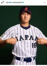 大谷翔平の愛犬デコピン、ぬいぐるみにイタズラか　ちょっぴり申し訳なさそう？反省モードの顔もかわいい