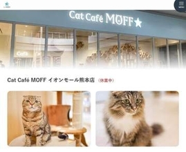【イオンモール熊本】救出の猫25頭、目立った外傷なし　猫カフェ運営が健康状態を報告、広島へ移送中