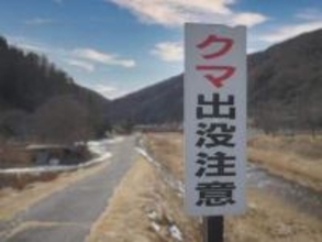 人里に食べ物があると学習した春グマが各地に出没　「異常事態と言ってよい」と専門家