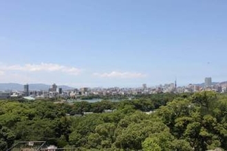 「梅の実泥棒」出没、国史跡・福岡城とりまく公園で　老木多く損傷リスクも...管理元が注意喚起「このような行為はやめて」
