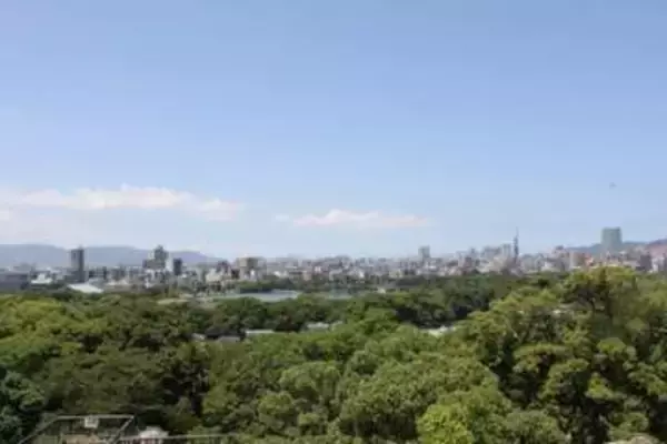 「梅の実泥棒」出没、国史跡・福岡城とりまく公園で　老木多く損傷リスクも...管理元が注意喚起「このような行為はやめて」