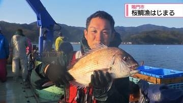 「海のサクラ」シーズン到来！　鳴門市で「桜鯛漁」はじまる【徳島】