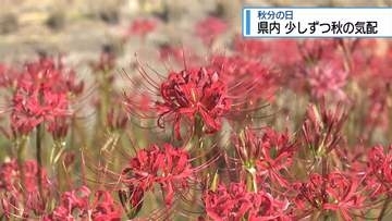 空気が澄んだ「秋分の日」　少しずつ秋の気配【徳島】