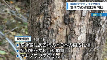 那賀町でツキノワグマ出没　集落での確認は県内初【徳島】
