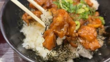 ガツンと「ガリバー丼」　サービスエリアで食べる『究極の漢飯』【徳島】