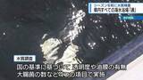 「県内６つの海水浴場「適」　シーズンを前に水質調査【徳島】」の画像1