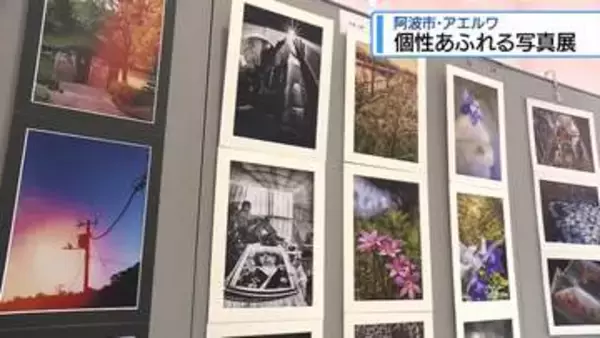 阿波市で個性あふれる写真展　日常や自然切り取った156点展示【徳島】