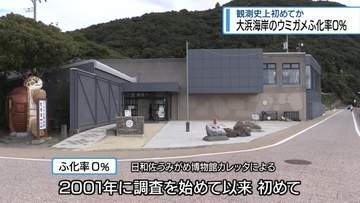 大浜海岸のウミガメふ化率 0％　観測史上初めてか【徳島】