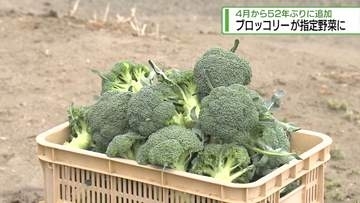 ブロッコリーが「指定野菜」に　4月から52年ぶりに追加【徳島】