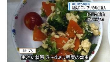給食にゴキブリの幼虫が混入　神山町の保育所【徳島】