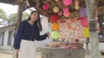 手水鉢をお花で彩る　とくしま花手水巡り【徳島】