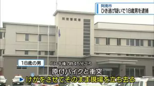 ひき逃げの疑いで18歳の男を逮捕　阿南市の国道交差点【徳島】