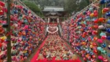 境内にひな人形500体　さかもと神社のひなまつり【徳島】