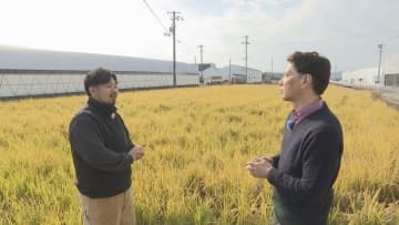 「再生二期作」収穫はじまる　一期目と比べ出来栄えは？【徳島】