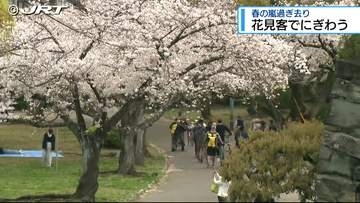 春の嵐過ぎ去り 中央公園 花見客でにぎわう【徳島】