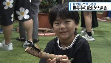 世界中の「カブトムシ・クワガタ」大集合　徳島市で❝触れる❞イベント【徳島】